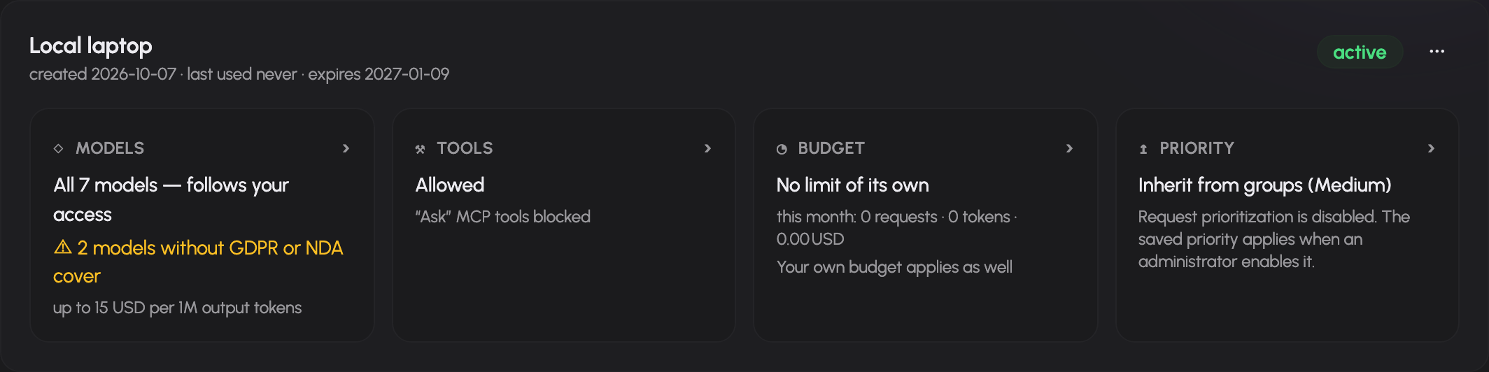 An API token card groups its model restrictions, tool access, budget and priority.
